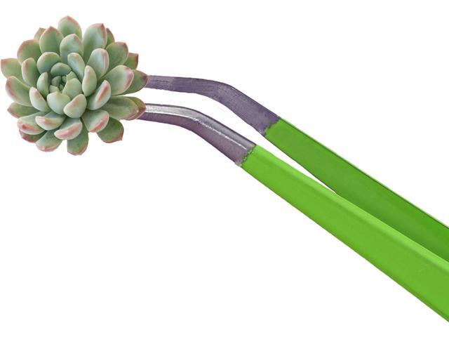 Chopstick And Succulents Long Stainless Steel Tweezers with Curved Tip. Ideal Tool for Cactus and Succulents Gardening