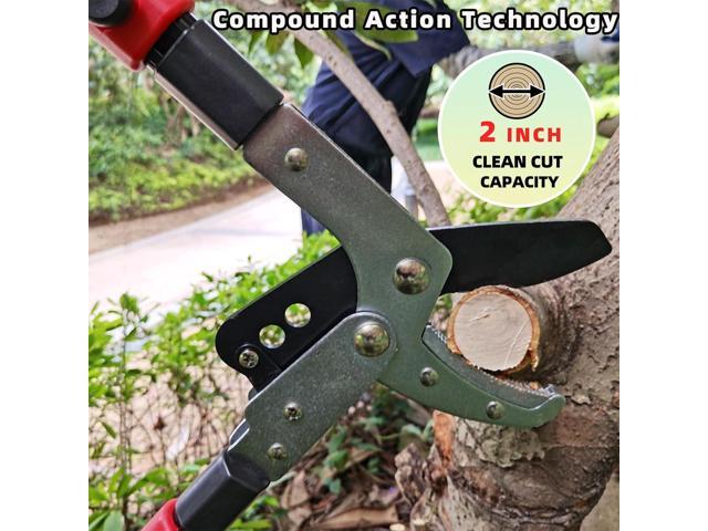 Loppers Branch Cutter Heavy Duty Tree Trimmer, Extendable 28-41' Tree Pruner with Compound Action, Tree Cutter with 2 Inch Clean Cut Capacity Chop...