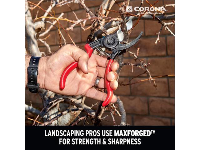 Corona BP 3640 Forged Steel ErgoACTION Angled Bypass Hand Pruner - 3/4 inch Cut Capacity Stem and Branch Garden Shears, Red