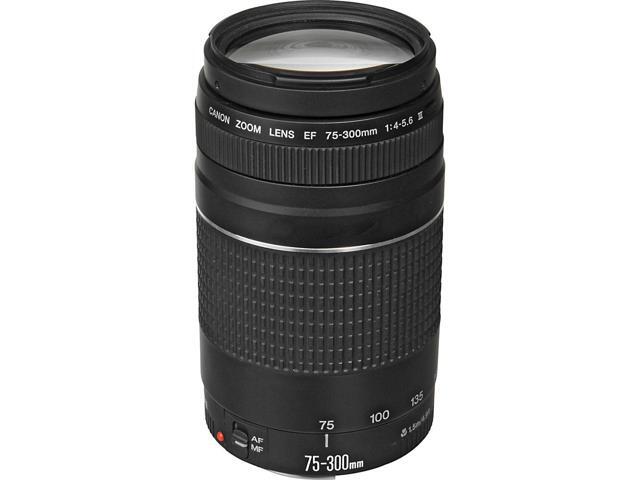 Canon EF 75-300mm f/4-5.6 III Lens (Black) + 500mm Preset Lens + Filter Bundle
