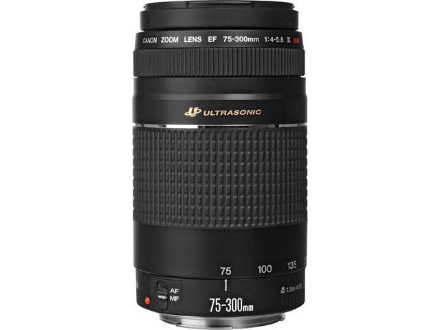 Canon EF 75-300mm f/4-5.6 III Lens (Black) White Box - 12PC Accessory Bundle