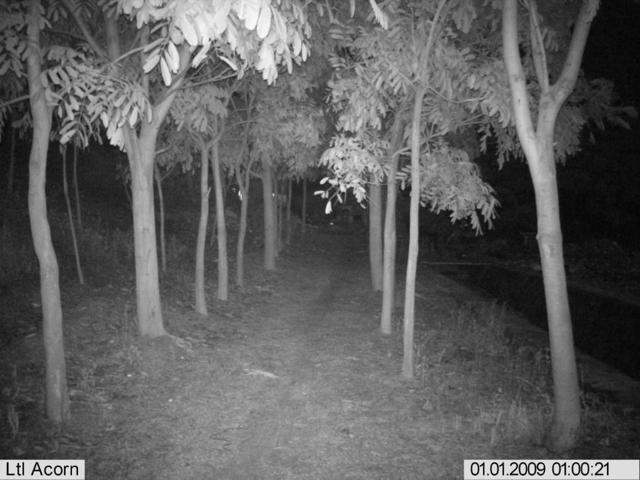 Video Camera Camp Adventures Cam Rain Shine Tracking Bears Roaming