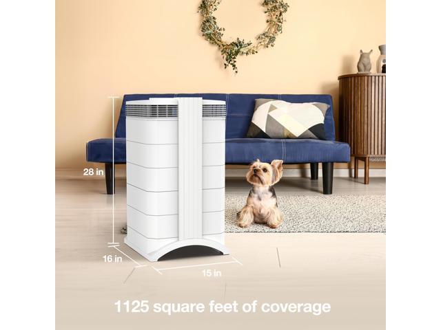 IQAir HealthPro Plus XE Air Purifier - Smart HyperHEPA Filtration for Large Rooms up to 1125 sq ft - Viruses, Allergens, Smoke, Mold, Dust, Pet...