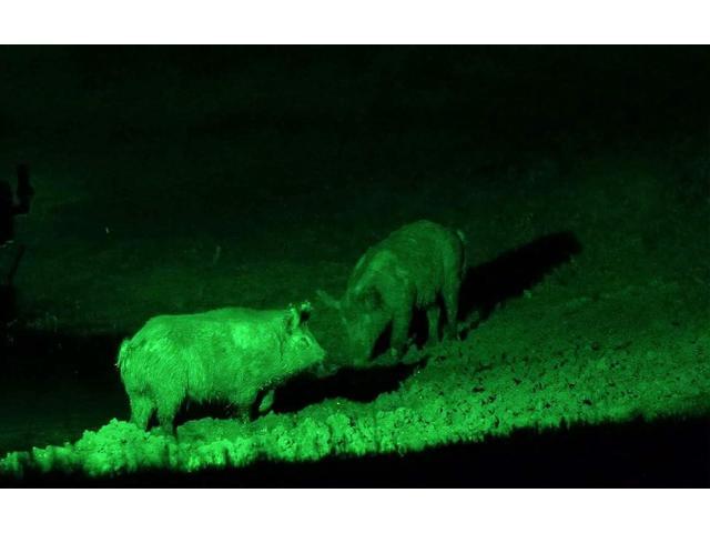 Green Light 350 Yards Spotlight Flood Light Zoomable Flashlight Torch for Hunting Hog Pig Coyote Varmint