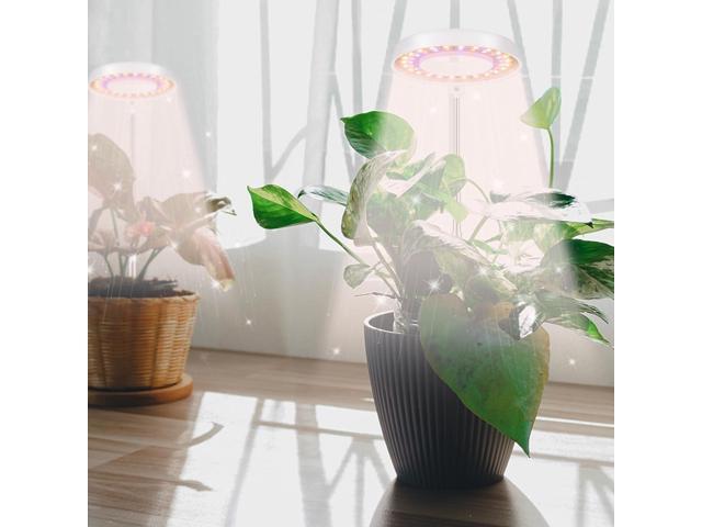 GooingTop LED Grow Light, Halo Plant Growing Lamp for Indoor Plants Growth, White Full Spectrum Low Light for Small Plants,Upgrade Timer 4/8/12/18...
