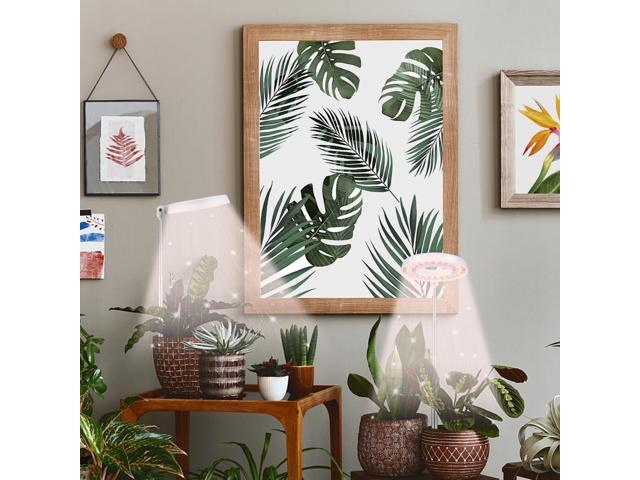 GooingTop LED Grow Light, Halo Plant Growing Lamp for Indoor Plants Growth, White Full Spectrum Low Light for Small Plants,Upgrade Timer 4/8/12/18...