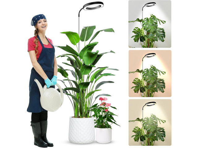 Wolezek Grow Lights for Indoor Plants Full Spectrum, 80 LEDs 3 Colors Grow Light, 65in Large Plant Lights for Indoor Growing with 360Â°Gooseneck,...