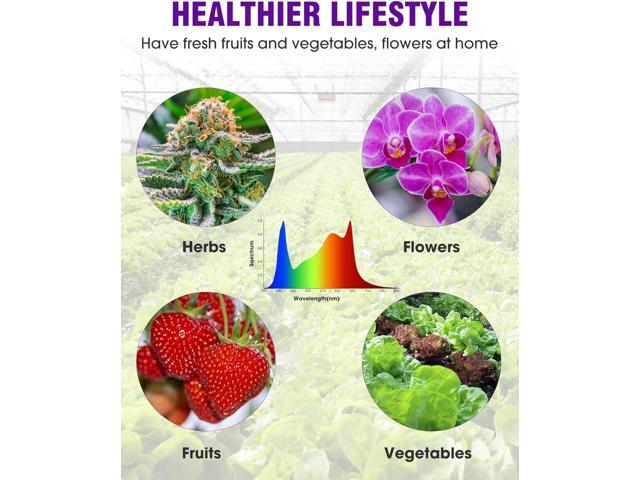 HitLight LED Grow light with 288 US Patented LEDs, 2x2ft Coverage Dimmable Full Spectrum Plant Grow Lights for Indoor Plants Seeding Veg Flower...