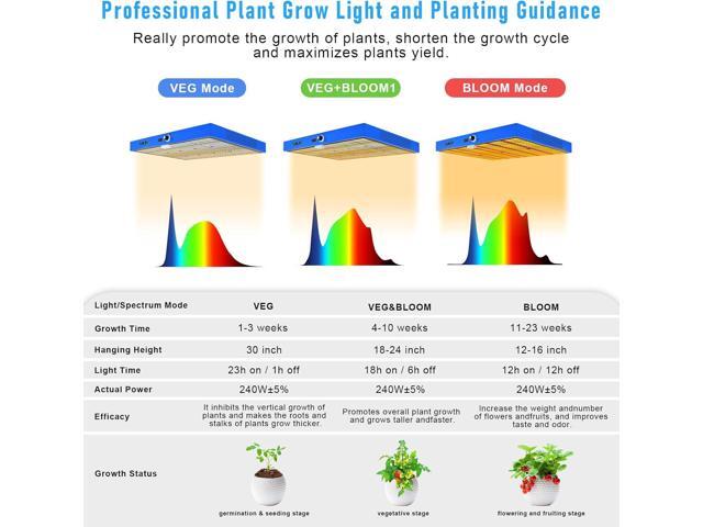 240W LED Grow Light, 4x4 ft Coverage, Dimmable Full Spectrum,Timers,Daisy Chain Veg & Bloom Plant Growing Lamps for Indoor Growing Hydroponic...