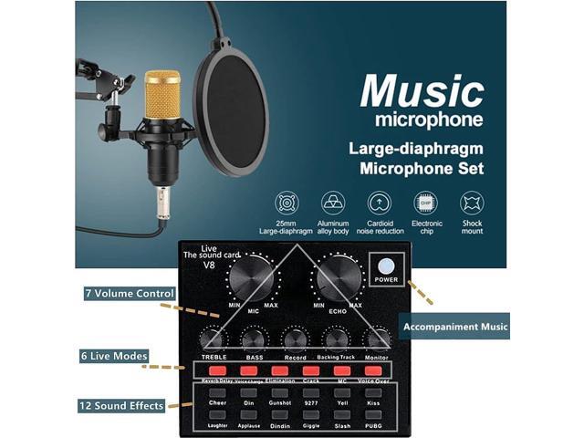 Podcast Equipment Bundle, BM-800 Recording Studio Package with Voice Changer, Live Sound Card - Audio Interface for Laptop Computer Vlog Living...