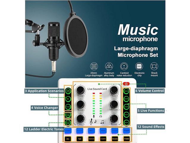 Podcast Equipment Bundle, BM-800 Podcast Microphone Bundle-Voice Changer with Mic Arm-Studio Condenser Microphone for Phone, PC, DJ, Perfect for...