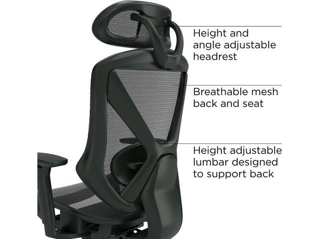 STAPLES Dexley Ergonomic Mesh Swivel Task Chair, Black (UN56946)