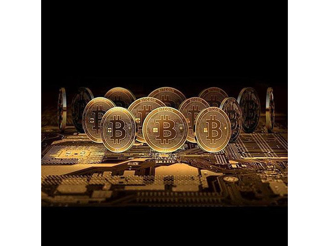 Vista Bit Coins The Celebratory Coins In Crystal Clear Case - Rose Gold