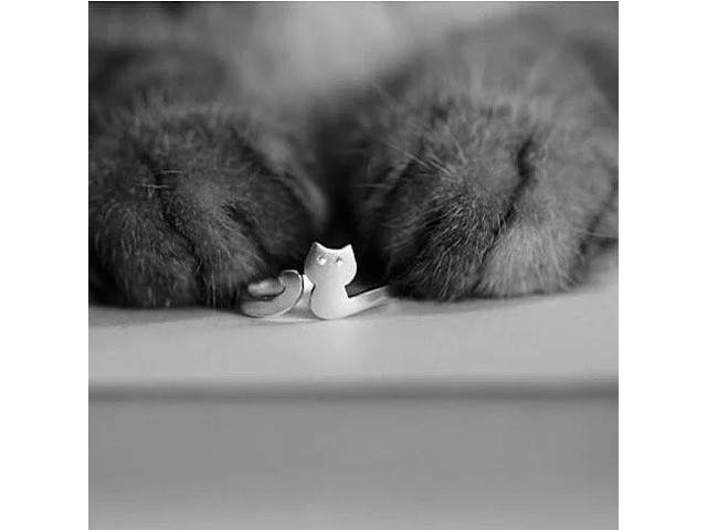 Vista My Cute Kitten Fashion Ring In 925 Brushed Sterling Silver - Silver