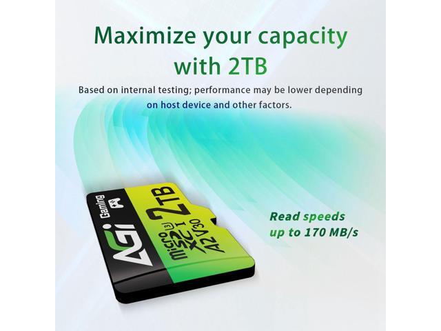 AGI 2TB TF138 MicroSD Memory, High-Capacity Storage Suit for Gaming. MicroSDXC A2 U3 V30 4K UHS-I U3 (Read Speed up to 170 MB/s, Write Speed up to...