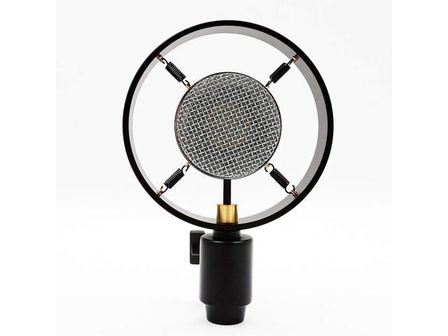 Antique Vintage Classic Cinema Theater Auditorium Speech Live Vocal 25mm Big Diaphragm Condenser Microphone