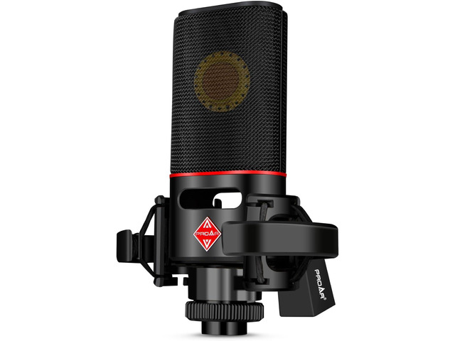XLR Condenser Microphone with 25mm Diaphragm for Vocals and Recording Large diaphragm professional metal studio mic for PC recording, podcasting,...