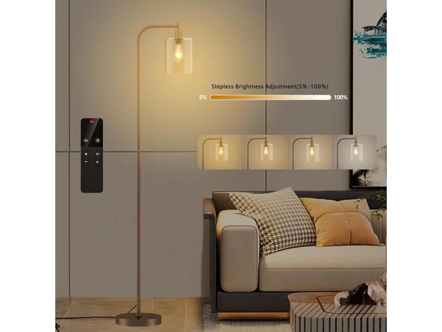 Industrial Floor Lamp with Glass Shade, Modern Dimmable Floor lamp with Remote LED Bulbs, Tall Lamp for Living Room Corner, Bedroom, Office (Bronze)