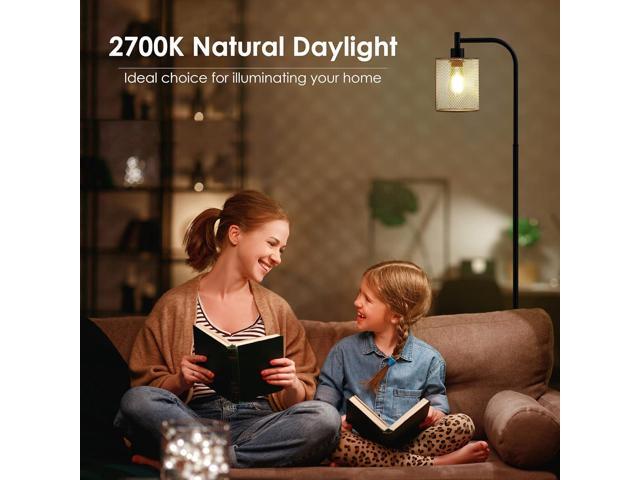 BoostArea Industrial Floor Lamp, Standing Lamp with Hanging Iron Mesh Lamp Shade, 6W LED Bulb, Whole Metal Farmhouse Floor Lamp with Foot Switch,...