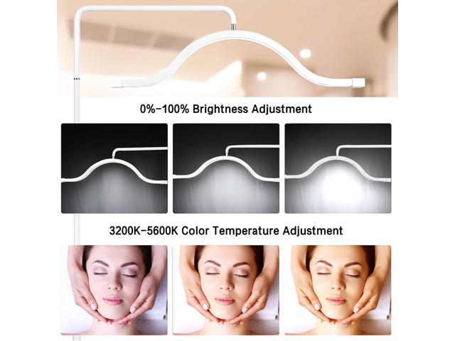 Eyelash LED Floor Lamp Estheticians Light, Tattoo Light, Pmu Lamp, Facialist Moon Lamp, Lighting for Beauty Filming Content Creation (White)
