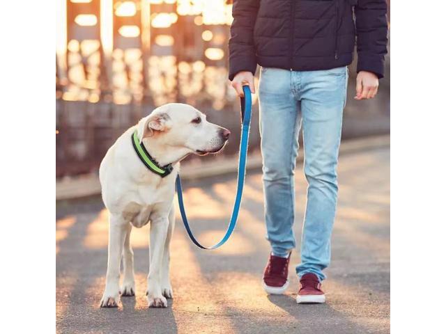 Solar & USB Rechargeable LED Lighting Dog Collar for Outdoor Safety Medium Red