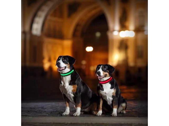 Solar & USB Rechargeable LED Lighting Dog Collar for Outdoor Safety Medium Red