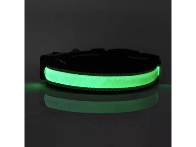Solar & USB Rechargeable LED Lighting Dog Collar for Outdoor Safety Medium Green