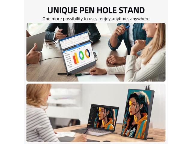 NEWSOUL 15.6' Portable Monitor 1920*1080 Extend Dual Screen VESA For Computer Xbox Switch PS