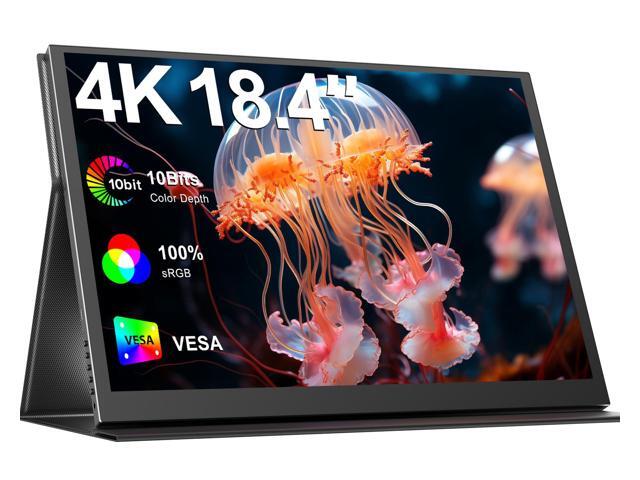 Newsoul 18.4' 4K UHD Portable Monitor with HDR, 10-bit Color, FreeSync, VESA Mount, USB-C, Mini HDMI, and Leather Case for Laptop, Phone, and...