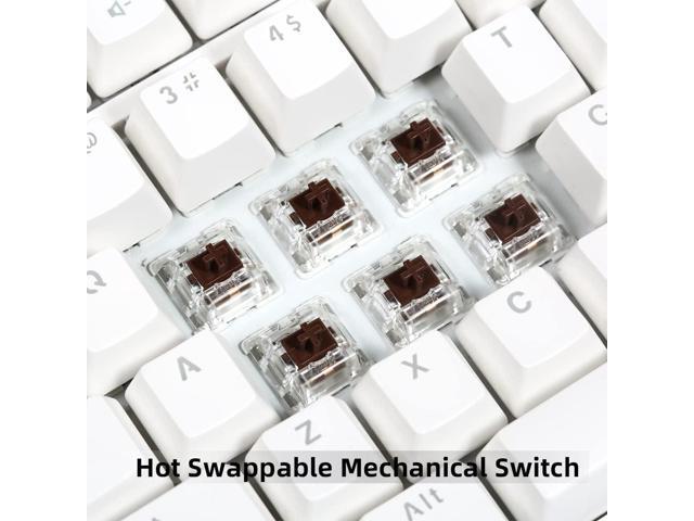 FE87/104 RGB Mechanical Keyboard, Hot Swappable Gaming Keyboard, Customizable Backlit, Magnet Upper Cover Type-C Wired Keyboard for Mac...