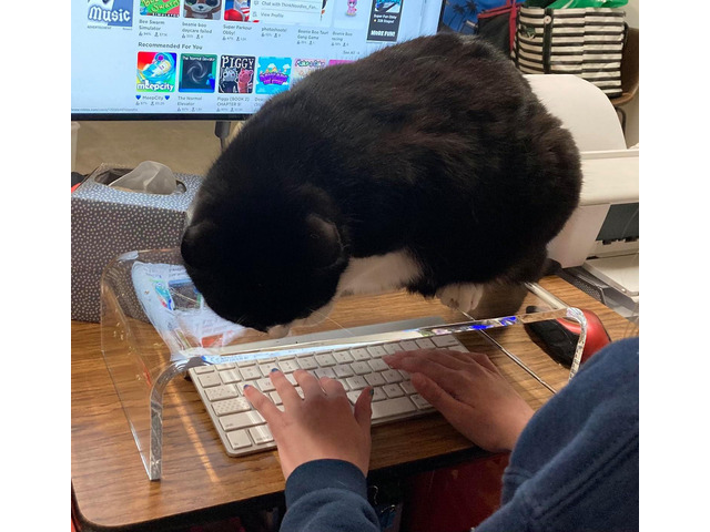 Acrylic Monitor Stand Riser Anti-Cat Laptop Cover Protector, Crystal Clear Laptop Stand, 16 inch Computer Monitor Riser for Home Office