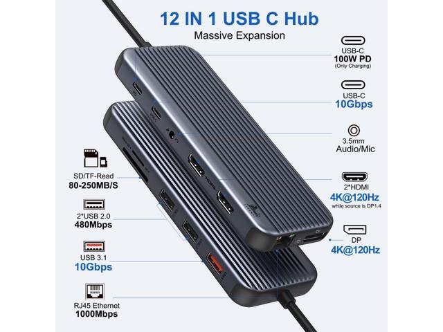 Dual HDMI Docking Station USB C to 2 Monitor 4@60Hz, LIONWEI USB C Hub with 4K@120Hz HDMI, DP, 10Gbps USB C & USB A 3.1, 1000Mbps RJ45, SD/TF, USB...