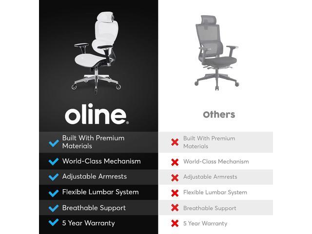 Oline ErgoPro Ergonomic Office Chair - Rolling Desk Chair with 4D Adjustable Armrest, 3D Lumbar Support and Blade Wheels - Mesh Computer Chair,...