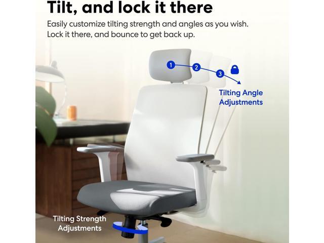 SIDIZ T40 SE Ergonomic Office Chair: Home Office Chair for Light Users with Reclining Tilt Lock, Headrest, 3D Armrests, Mesh Back Computer Desk...