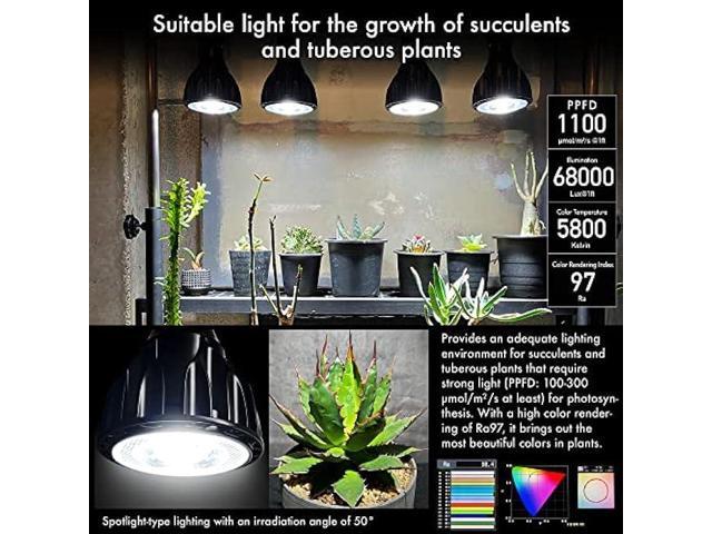 BRIM Grow Light Bulb for Plants, High PPFD 1100mol/m²/s (1ft), Full Spectrum 24W (300W Equivalent) LED Grow Light Bulb, Grow Lights for Indoor...