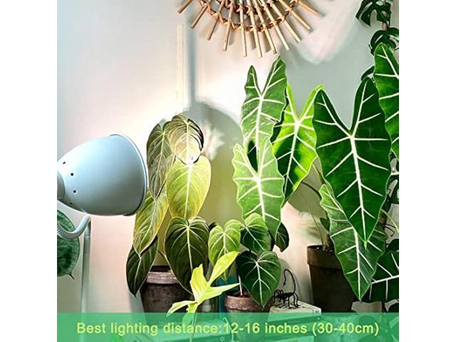 Dubofu Grow Light Bulbs LED - Full Spectrum Light Bulb for Indoor Plants - 11W Plant Light Bulbs for Seed Starting, Hydroponics, Greenhouse - 100W...
