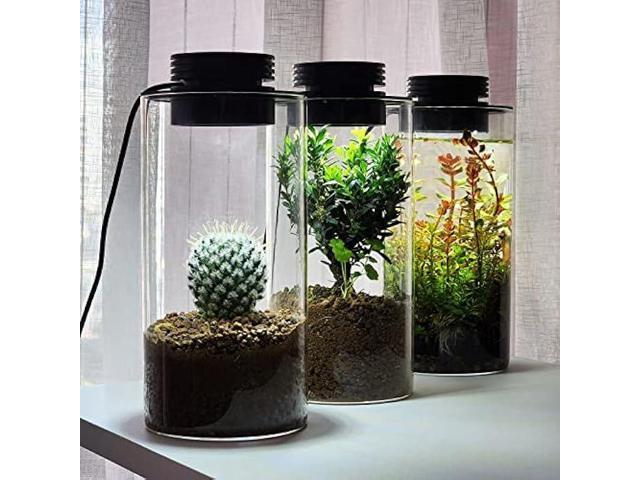 Desktop Glass Terrarium with Grow Light (H:7.8 D:4), for Succulent, Moss, Miniature Gardening Landscape, Betta Fish Tank, Indoor Plant Growth,...