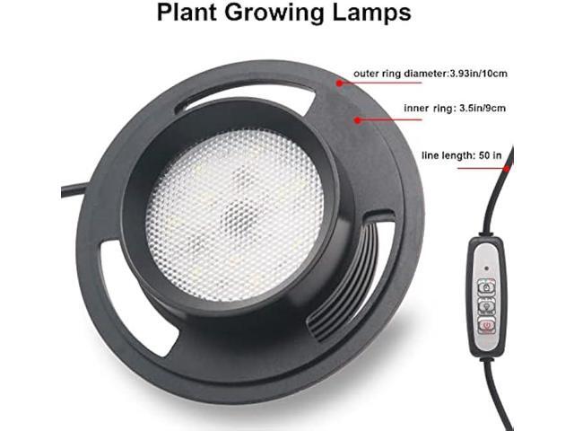 Desktop Glass Terrarium with Grow Light (H:7.8 D:4), for Succulent, Moss, Miniature Gardening Landscape, Betta Fish Tank, Indoor Plant Growth,...