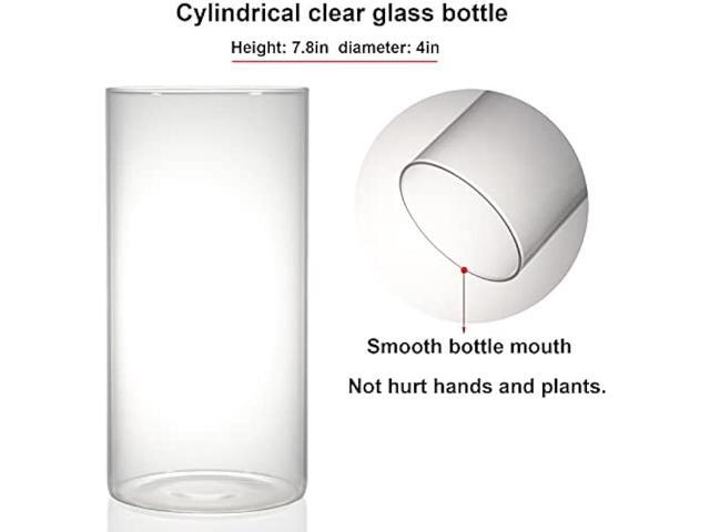 Desktop Glass Terrarium with Grow Light (H:7.8 D:4), for Succulent, Moss, Miniature Gardening Landscape, Betta Fish Tank, Indoor Plant Growth,...