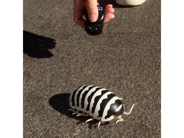 Tipmant RC Bug Remote Control Worm Realistic Pillbug Electronic Animal Prank Toy Insect Car Vehicle Kids Birthday Gifts (Black & White)