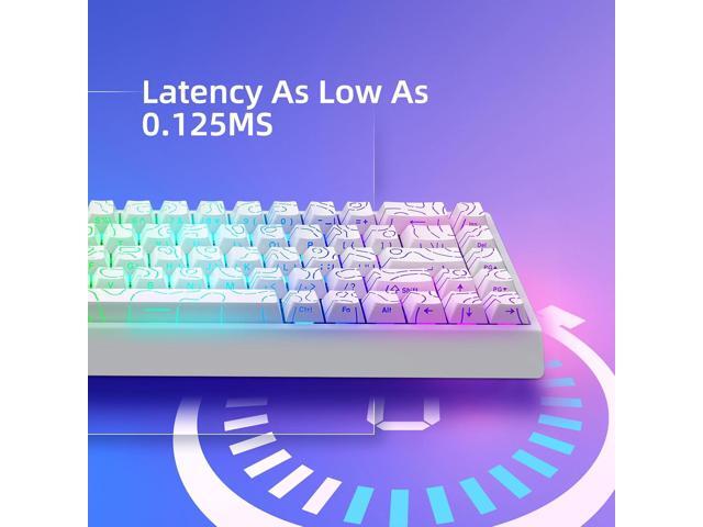 Mer68 Wired 68 Keys, Magnetic Switch Mechanical Keyboard, 8KHZ Polling Rate/Latency As 0.125MS/256KHZ Single Key Scan Rate/ARGB/, Hot Swappable...
