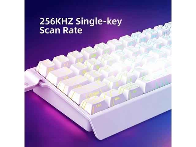 Mer68 Wired 68 Keys, Magnetic Switch Mechanical Keyboard, 8KHZ Polling Rate/Latency As 0.125MS/256KHZ Single Key Scan Rate/ARGB/, Hot Swappable...