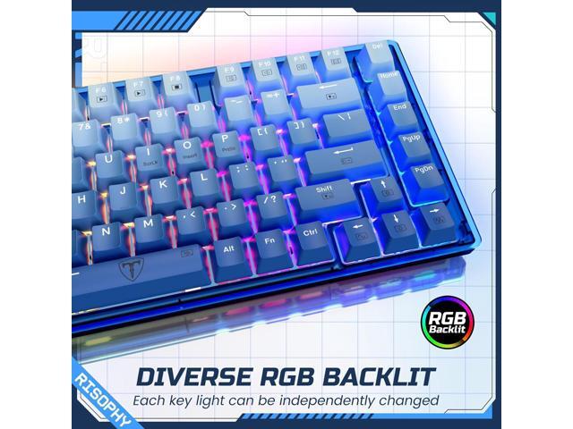 RisoPhy 60 Percent Mechanical Gaming Keyboard - 82 Keys Hot Swappable, Linear Silent Red Switches, Blue PBT Keycaps, Compact Mini RGB Backlit Wired...