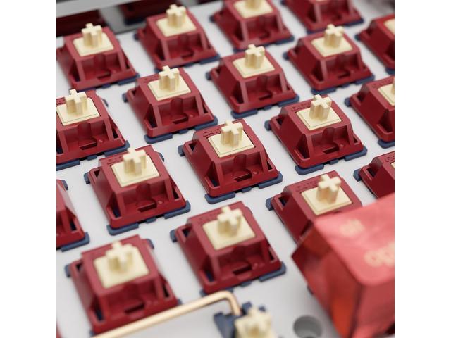 Gateron Quinn Switches, Tactile 5 Pins 59gf RGB Pre Lubed for MX Mechanical Keyboard (90PCS)