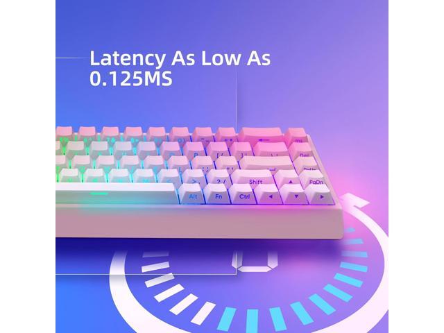 Mer68 Wired 68 Keys, Magnetic Switch Mechanical Keyboard, 8KHZ Polling Rate/Latency As 0.125MS/256KHZ Single Key Scan Rate/ARGB/, Hot Swappable...