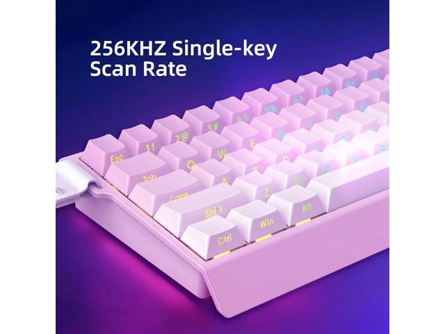 Mer68 Wired 68 Keys, Magnetic Switch Mechanical Keyboard, 8KHZ Polling Rate/Latency As 0.125MS/256KHZ Single Key Scan Rate/ARGB/, Hot Swappable...