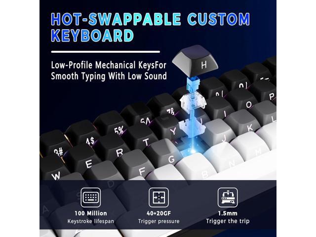 Mechanical Gaming Keyboard 65% Wired, Magnetic Switch Hot Swappable RGB Backlit, 68-Key Compact Mini Keyboard with Blue Switch, Detachable USB-C...