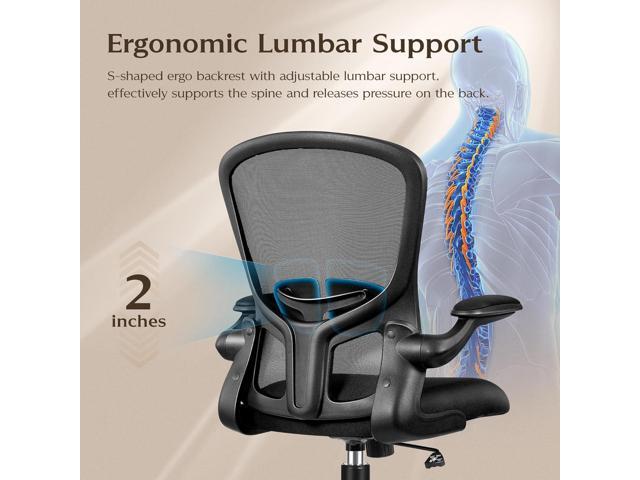 FelixKing Office Desk Chairs, Ergonomic PC Desk Chair with Wheels, Adjustable Lumbar Support and Height, Swivel Computer Chair with Flip-up...