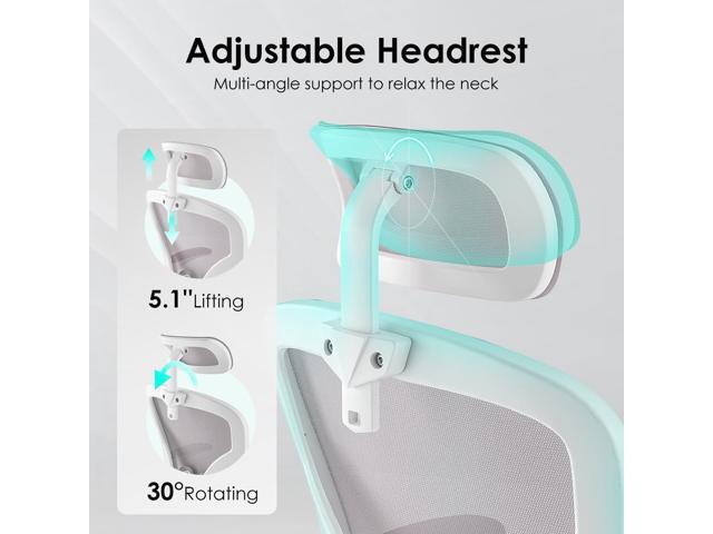 Farini Ergonomic Office Chair, Home Office Desk Chair with Headrest, High Back Computer Chair with Armrests and Adjustable Lumbar Support for Home...