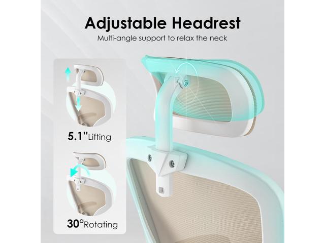 Farini Ergonomic Office Chair, Home Office Desk Chair with Headrest, High Back Computer Chair with Armrests and Adjustable Lumbar Support for Home...